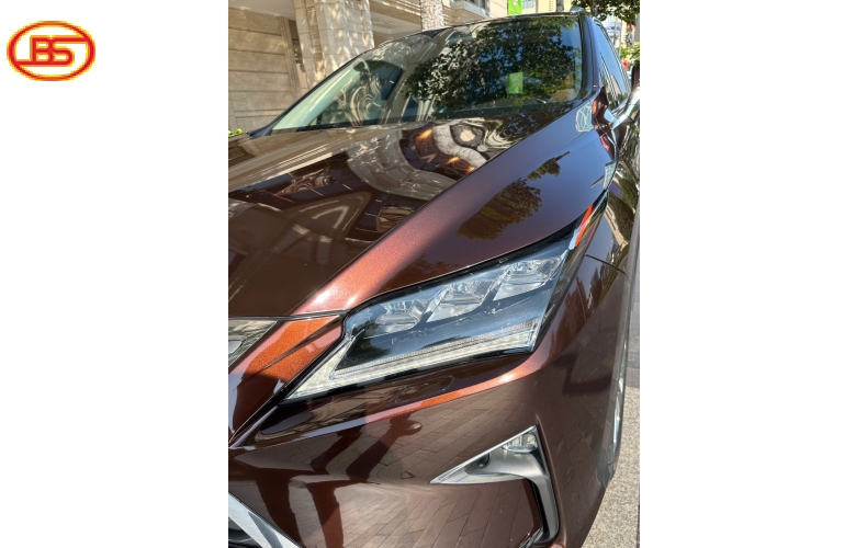 Siêu phẩm RX300 2019 Nâu quá đẹp 82.000km