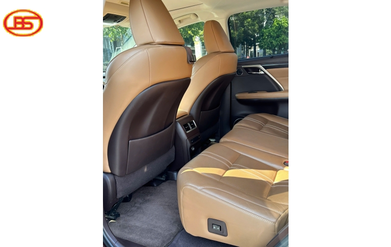 Siêu phẩm RX300 2019 Nâu quá đẹp 82.000km