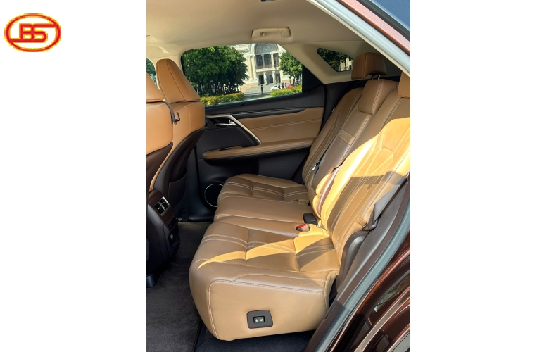 Siêu phẩm RX300 2019 Nâu quá đẹp 82.000km