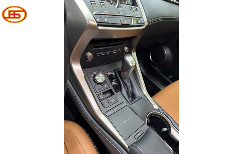 Siêu phẩm NX300 2020 với odo 96.000km
