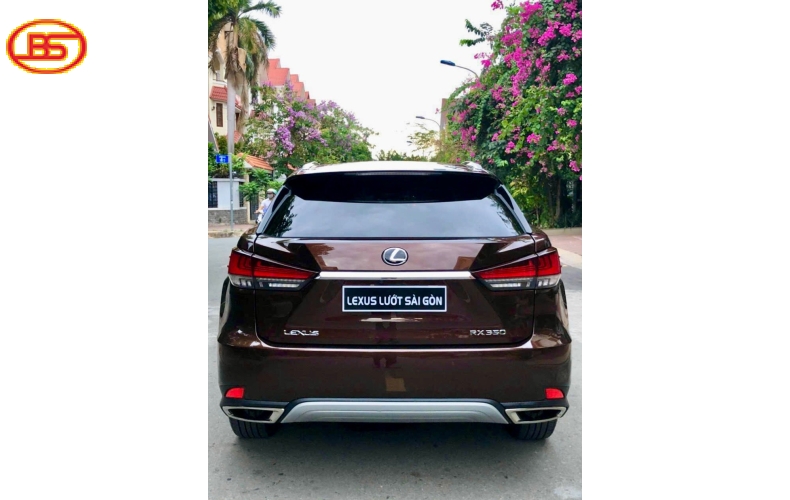 Lexus RX350 model 2020 Nâu