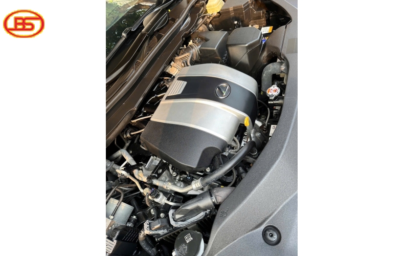 Siêu phẩm RX350 2019 với odo 80.000km cập bến