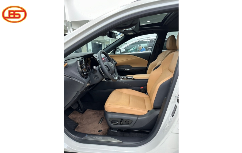 RX350 BẢN PREMIUM SX2023 ĐK2024 odo 1906km