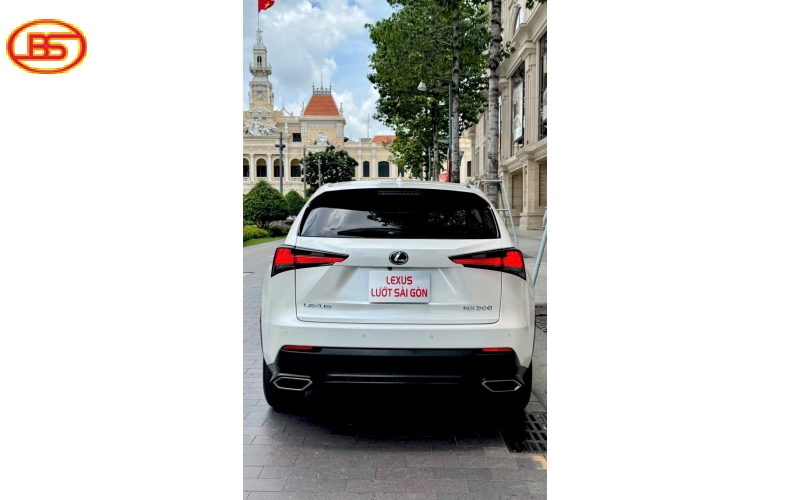 Siêu phẩm NX300 2019 95.000km xe đẹp không khác RX350