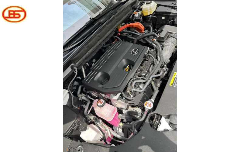 Siêu phẩm RX350H 2025 lướt chỉ 4.400km 