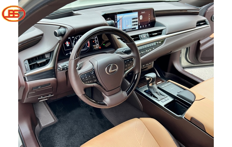 Lexus ES250 2019 (8 Ngàn KM)