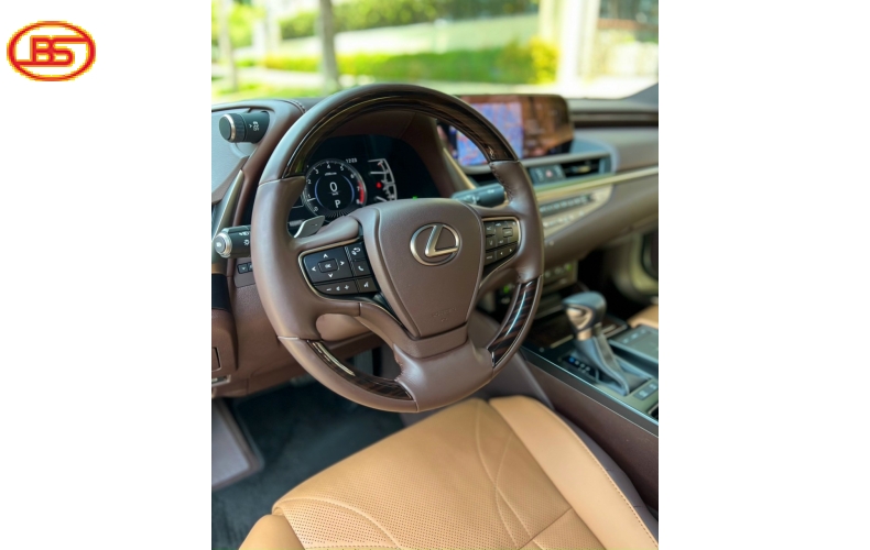 Lexus ES250 2019 (8 Ngàn KM)